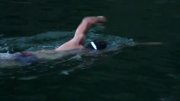 Мозковий чоловік плаває повзанням в озері — стокове відео
