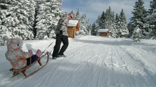 家庭在雪地上享受冬天的时候 — 图库视频影像