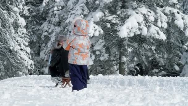 Familjen njuter av vintern — Stockvideo