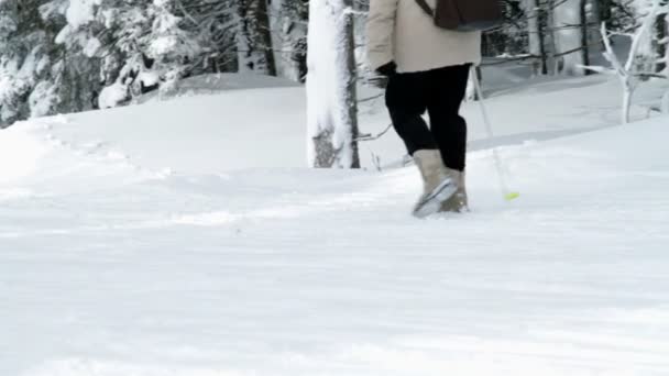 En persone ta en promenad på snöig dag — Stockvideo