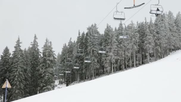 Group of people skiing in idyllic winter time — Stock Video