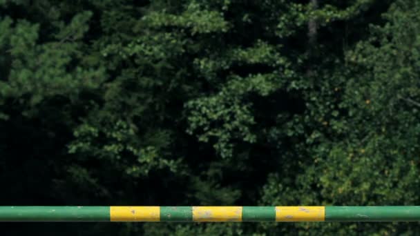 Mujeres jockey aprendizaje saltar por encima de los obstáculos en la naturaleza y la preparación para la comeptition — Vídeos de Stock