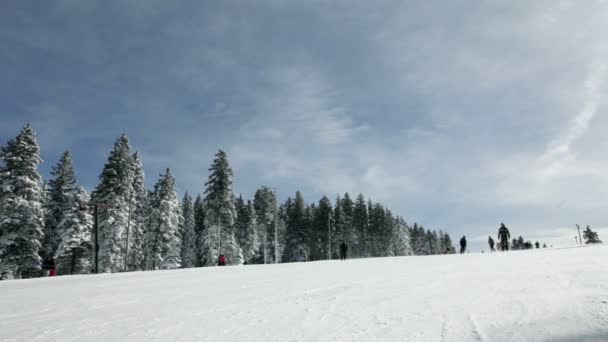 Skidbacken med människor skidor i vinter idyll — Stockvideo