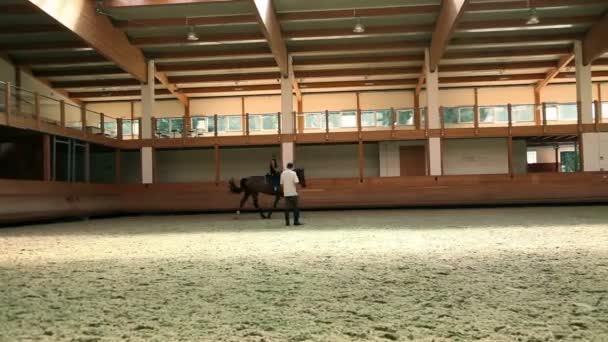 Gran salón para el entrenamiento de la niña montar a caballo para el equestrianismo — Vídeos de Stock