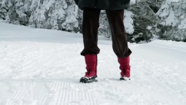 Женщина наслаждается зимним временем — стоковое видео