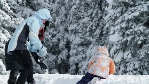 家庭享受冬季时间 — 图库视频影像