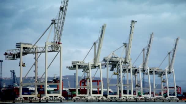 Porto com guindastes portuários — Vídeo de Stock