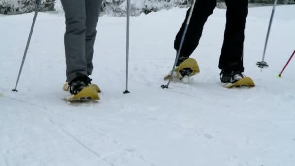 Группа людей, наслаждающихся зимним временем — стоковое видео