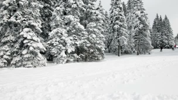 Lidé lyžování a pěší turistiky na sněhu — Stock video