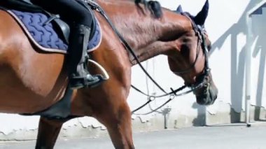 At binme ve erkek eğitmen ile öğrenme genç kız