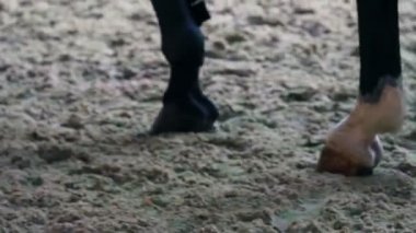 Genç kız için profesyonel jokey eğitimi