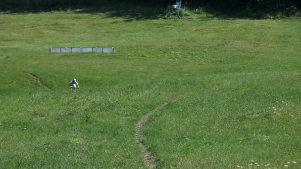 Young, sporting man riding bike on sunny day — Stock Video