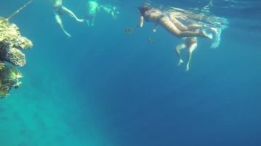 insanlar üzerinde büyük mercan mavi denizde Yüzme