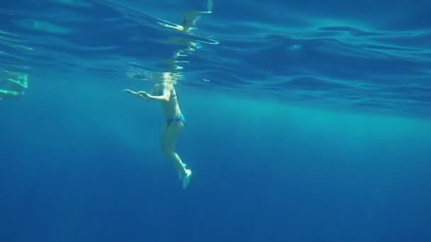 Yellow sea fish swimming around the corals — Stock Video