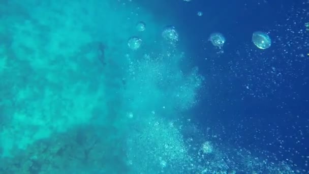 Buceadores investigando mar azul profundo — Vídeo de stock