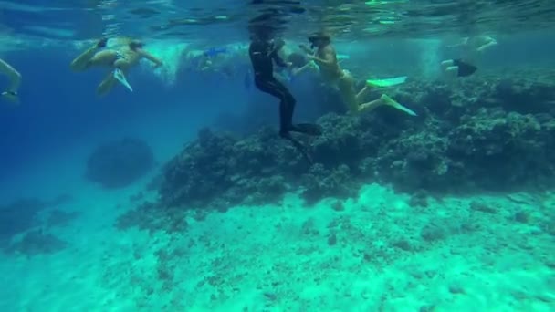 Подводный кадр плавающих в море людей — стоковое видео