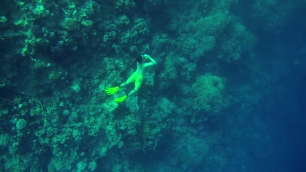 Homem nadando profundamente abaixo do nível do mar — Vídeo de Stock