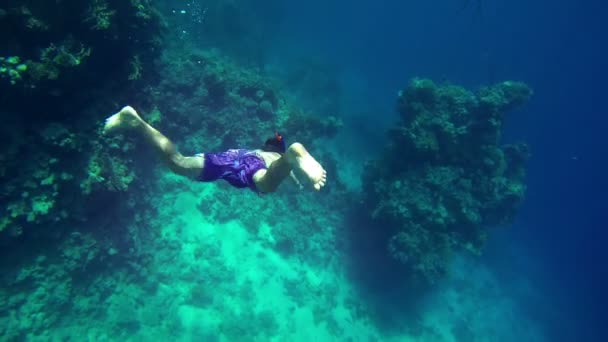 Joven con equipo de buceo sumergiéndose en el mar azul profundo — Vídeo de stock