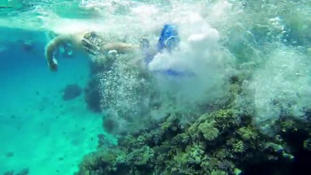 Corales submarinos y gente nadando — Vídeos de Stock