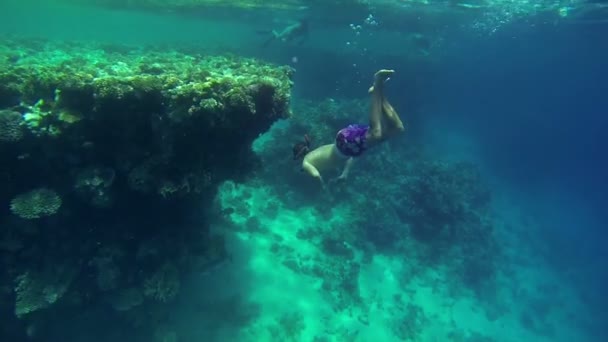 Young man swimming next to sea corals — Stock Video