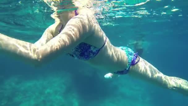 Adam mercanlar üzerinde yüzme ve fotoğraf çekme maskesi — Stok video