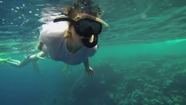 Vrouw in duikuitrusting rondkijken onderwater — Stockvideo