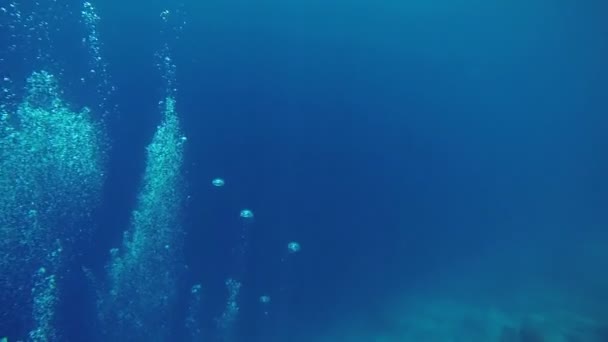 Повітряні бульбашки в морі — стокове відео