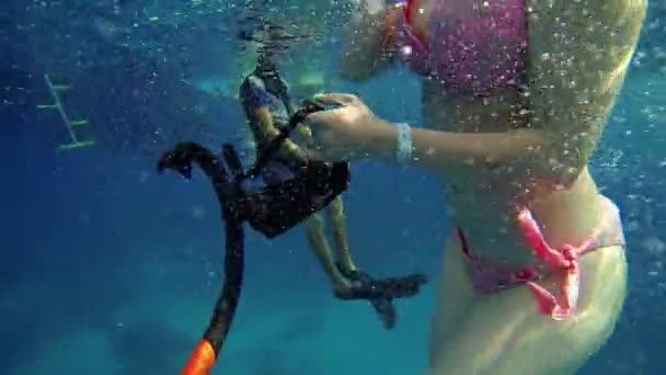 Gente nadando en el mar — Vídeo de stock