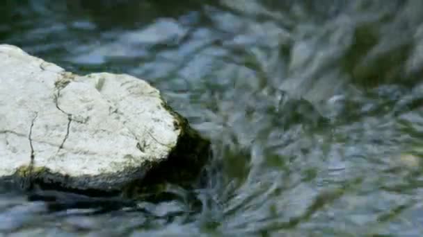 Extrême gros plan de la roche dans le cours d'eau — Video