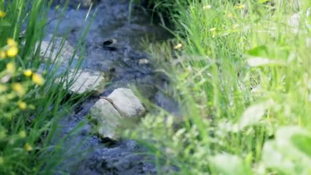 Scivolando attraverso il flusso d'acqua in primavera — Video Stock