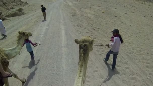 Reisen durch Landschaften in Ägypten — Stockvideo