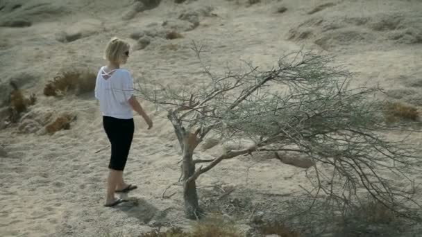 Mujer descansando sobre un árbol seco en un paisaje Safari vacío — Vídeos de Stock