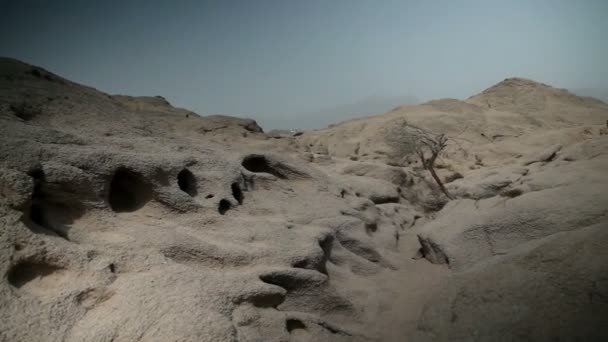 中景中在岩石地形 safari 中的枯树 — 图库视频影像