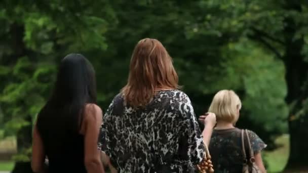 Group of beautiful women enjoying a walk in green park — Stock Video