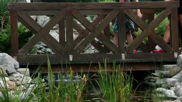 Gros plan sur les jambes des femmes avec des talons marchant sur un pont en bois 