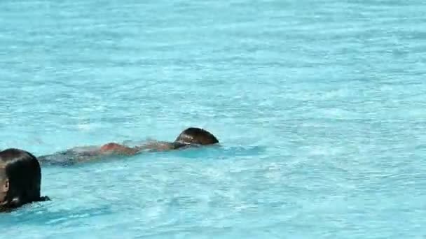 Crianças nadando na piscina e se divertindo — Vídeo de Stock