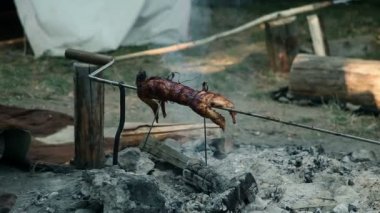 Bütün tavşan Barbekü kampında kavurma