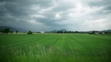 vahşi ride aracılığıyla ülke tarafında peyzaj Manzaralı