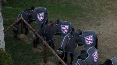 geniş besleme at ahır ile kurutulmuş ot içinde knight's at shot