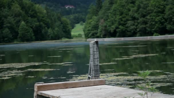 Деревянный пирс с забором на зеленом озере — стоковое видео