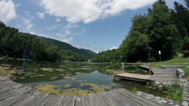 Timelapse zelené jezero s velkým molem a okolí — Stock video