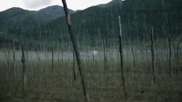 出一个农场与蛇麻草生长的速度驾驶 — 图库视频影像