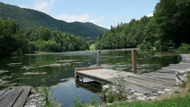 Jezero v zeleném prostředí nevhodné pro plavání — Stock video