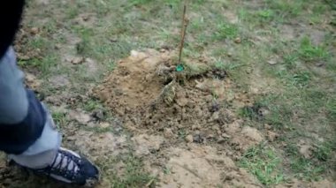 Ahududu kir ile kaplama