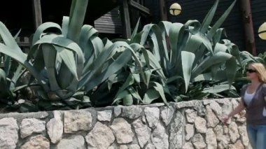 kadın parkta büyük yaprakları hayranım