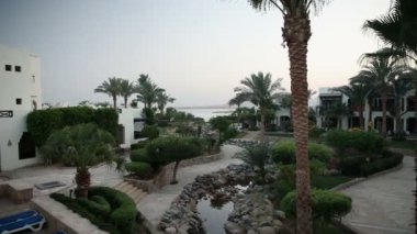 güzel bir bahçe çiçeklerle sharm turistik yer
