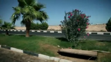 Mısır'daki yollarda seyahat