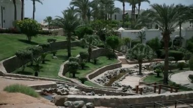 sharm güzel yeşil park