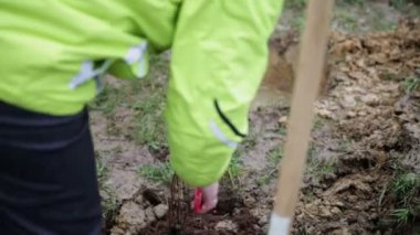 bitki kesme uzak gereksiz parçaları