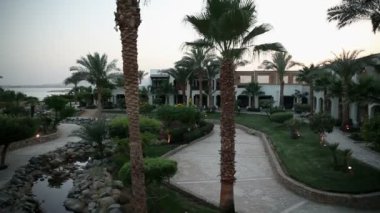 güzel bir bahçe çiçeklerle sharm turistik yer